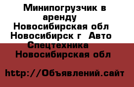 Минипогрузчик в аренду  - Новосибирская обл., Новосибирск г. Авто » Спецтехника   . Новосибирская обл.